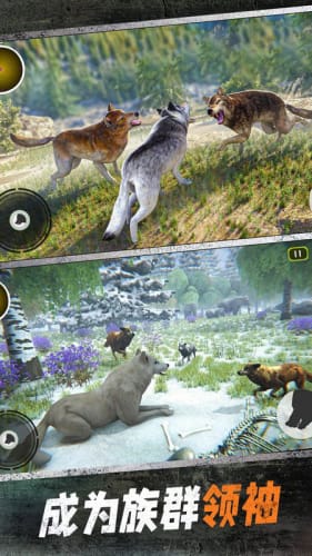 野狼模拟3D_图片
